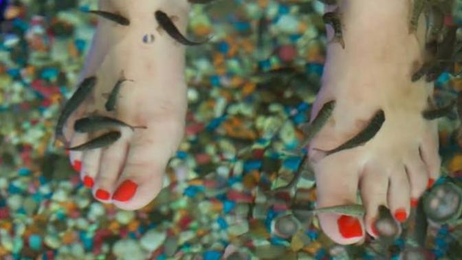 A girl's guide on how to get sexy and attractive feet