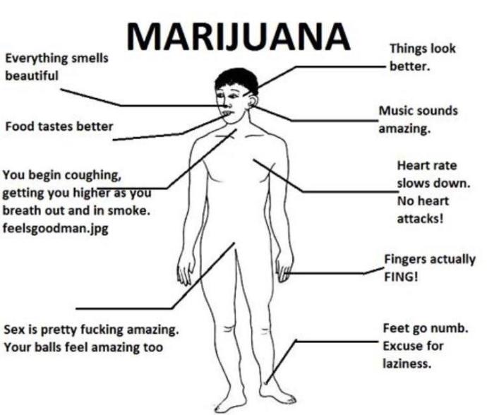 The Facts Surrounding Cannabis Use and its False Representations