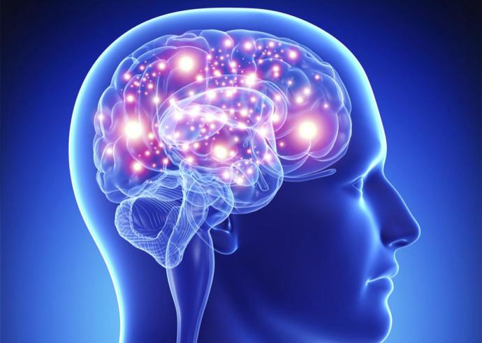 20 Random Facts About Humans