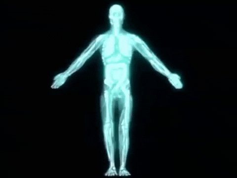 20 Random Facts About Humans
