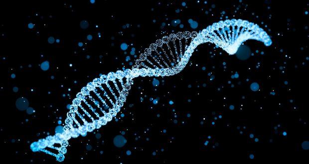 20 Random Facts About Humans