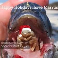 Merry Christmas!