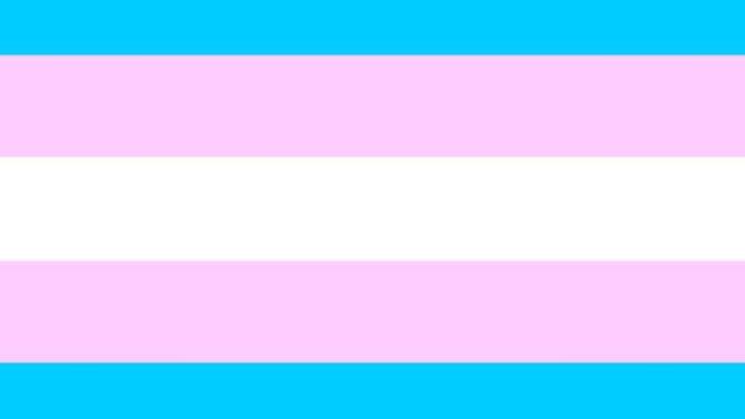 It should be understood that transgender people are normal people just like everyone else.