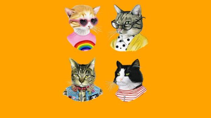 Cat Types And Properties