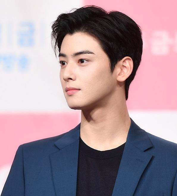 Cha-Eun Woo, a popular actor/singer in South Korea 