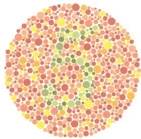 I see dots and they're different colored, but nothing else