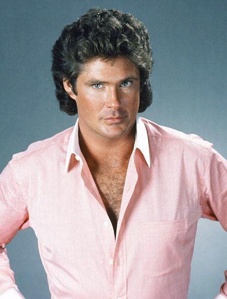 David Hasselhoff is a well known actor and a singer. He became famous as the Knight Rider and as the main star of the Baywatch.