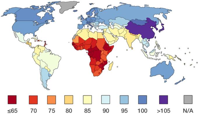 Why Asians do better than Blacks