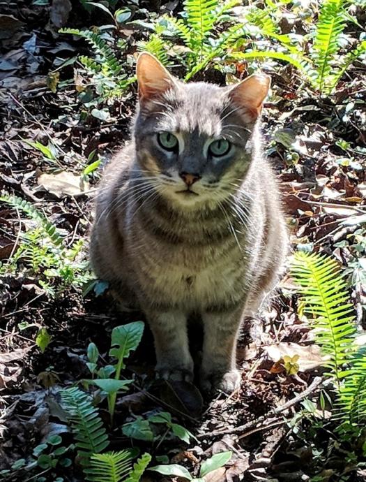Miss Mica:  Rest In Peace!