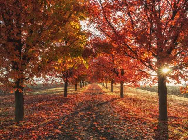 The 4 seasons and the way each makes me feel