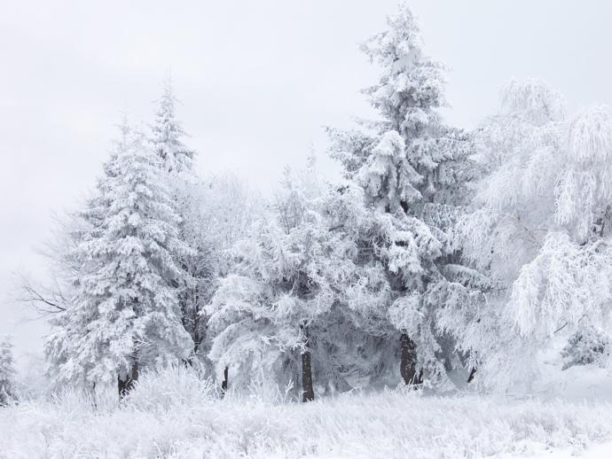 The 4 seasons and the way each makes me feel