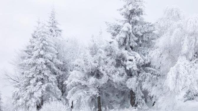 The 4 seasons and the way each makes me feel