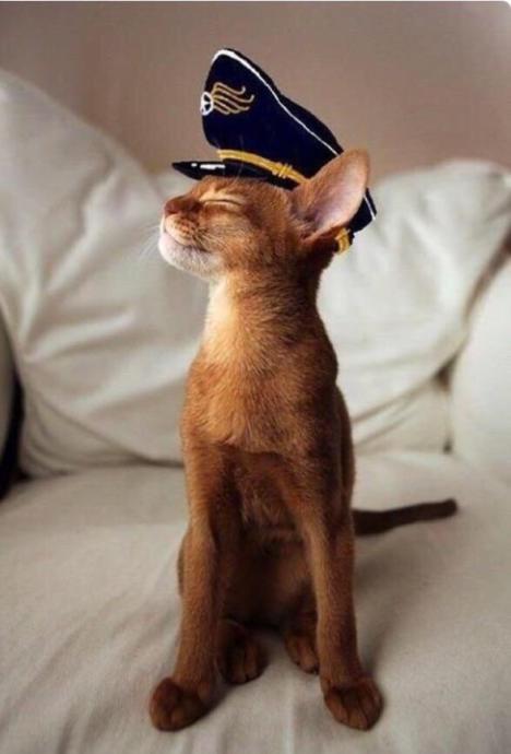 I’m just venting but...