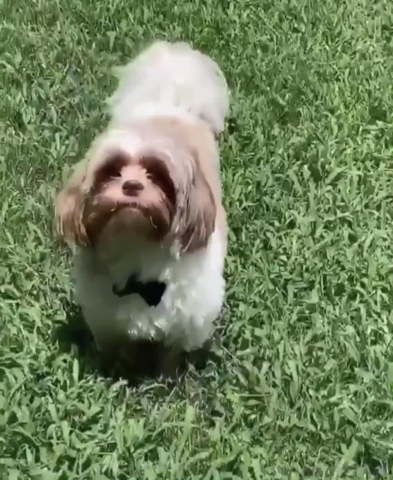 Cute pictures of animals to make your day :)