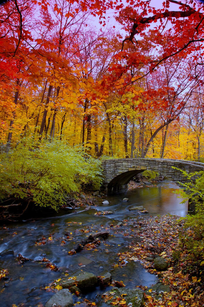 Embracing Autumn