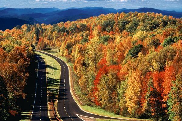 Embracing Autumn