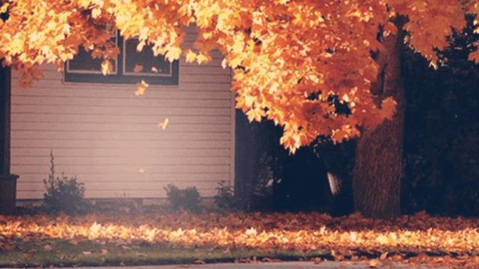 Embracing Autumn