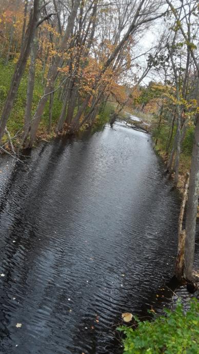 Poesy For Your Autumn Oranges