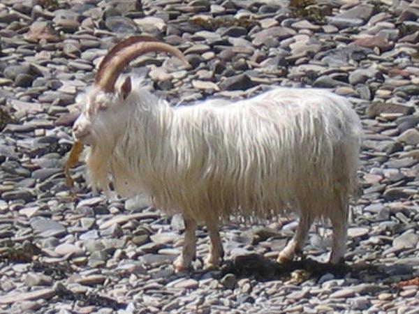 How to prevent a home invasion: Warning signs, precautions and castle doctrine tactics