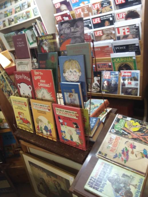 My time at the Volo antique and thrift shops