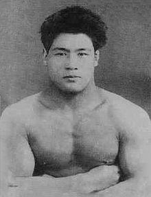 How body proportions, strength and other factors determine the outcome of a fight