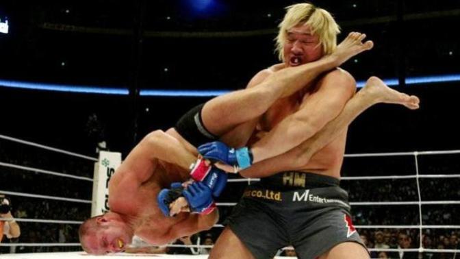 How body proportions, strength and other factors determine the outcome of a fight