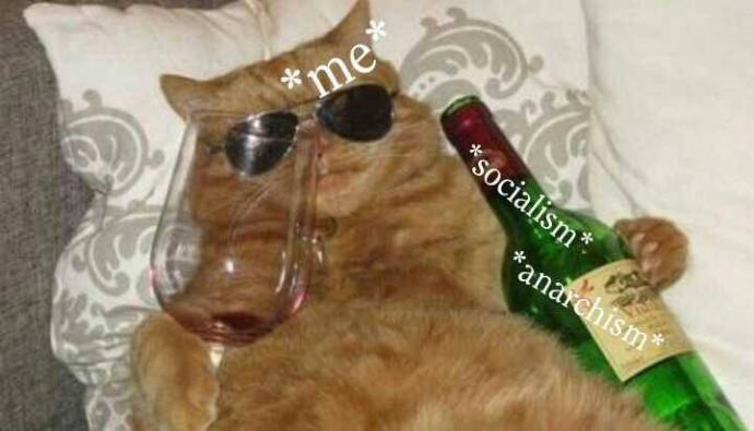 4 Reasons Socialism Is More Popular Among Americans Now Than Ever Before