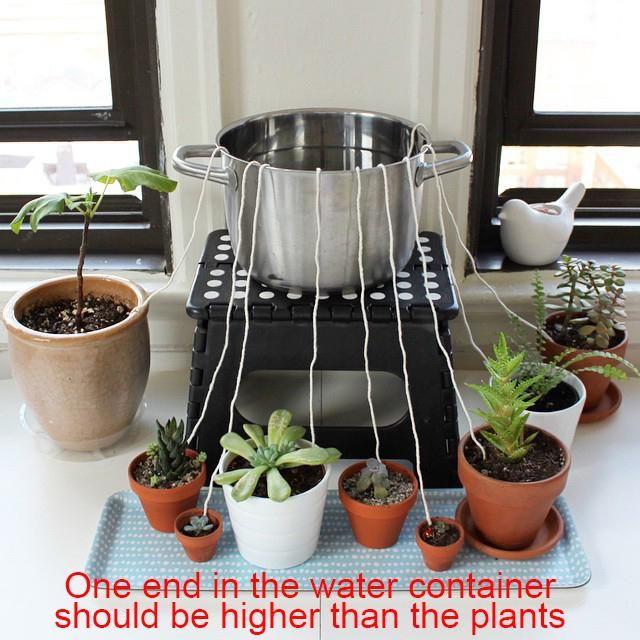 If you can't keep houseplants alive, you might be neglectful.