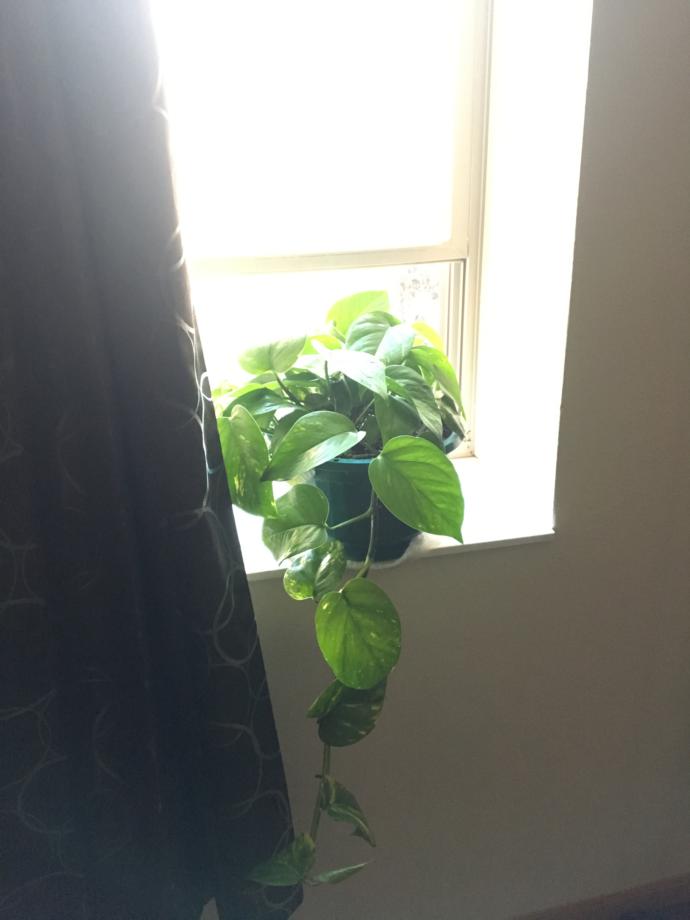 baby in May.
