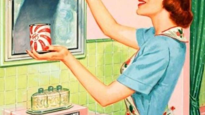 "The thing that sucks about being a Housewife in today's Society"