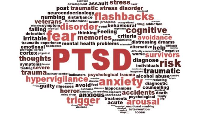 Maybe I Have PTSD