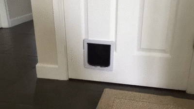 Nope! Wrong house!