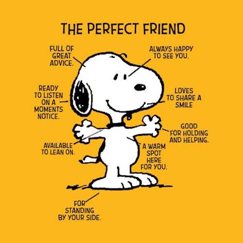 What makes a good friend