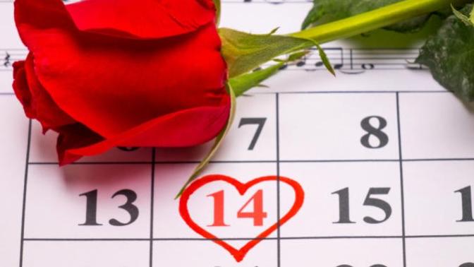 The Valentines Day Survival Guide