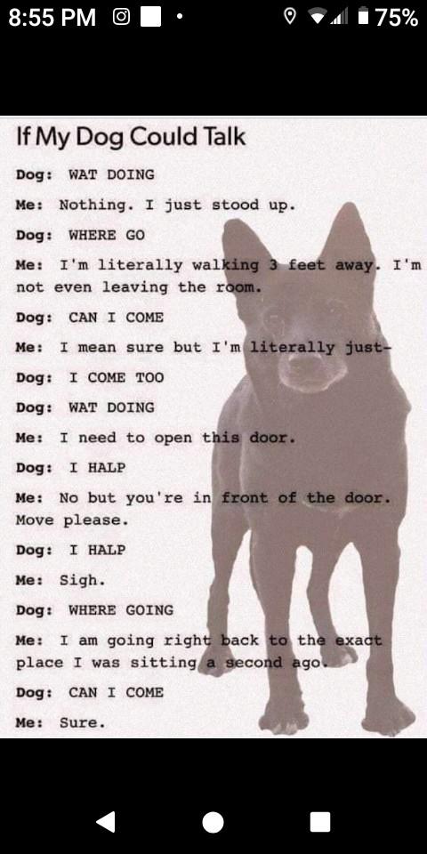 Why guys prefer to room with dogs :)