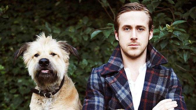 Why guys prefer to room with dogs :)
