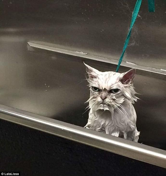 Just great! As if I can't clean myself.