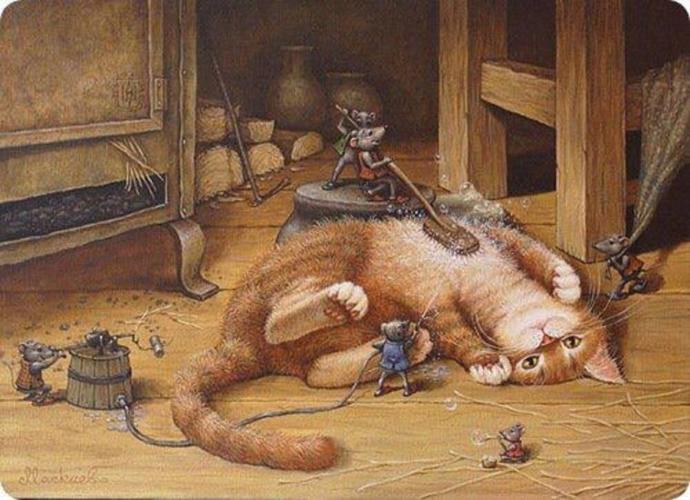 How To Properly Bath Your Cat - The facts you never knew