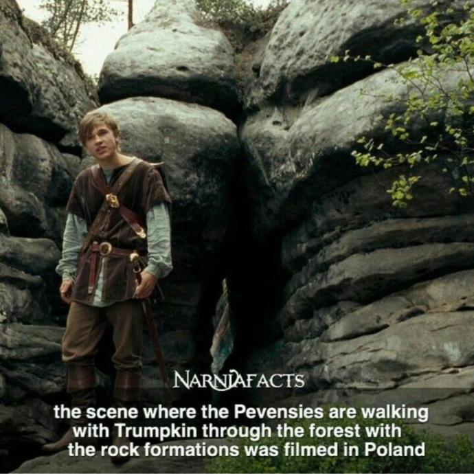 Scene From Prince Caspian