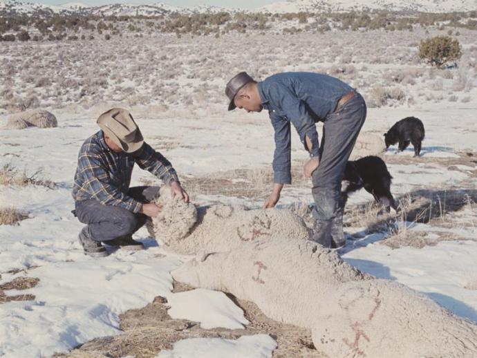 Everything you should Know about Dugway Proving Ground!