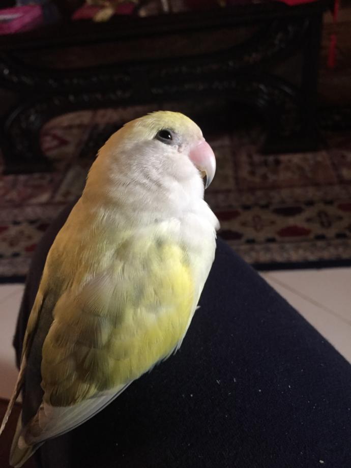 Self Love Is Sometimes Hard To Practice. It Comes Down to Not Giving a F____ While Walking With Care In the World.