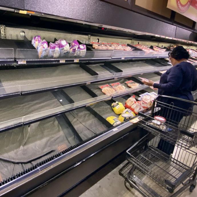 Grocery Shopping During the Corona Virus Apocalypse
