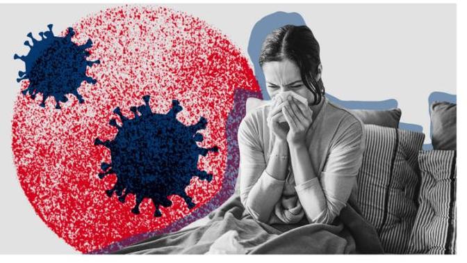 Coronavirus: How to make the best of self-isolation