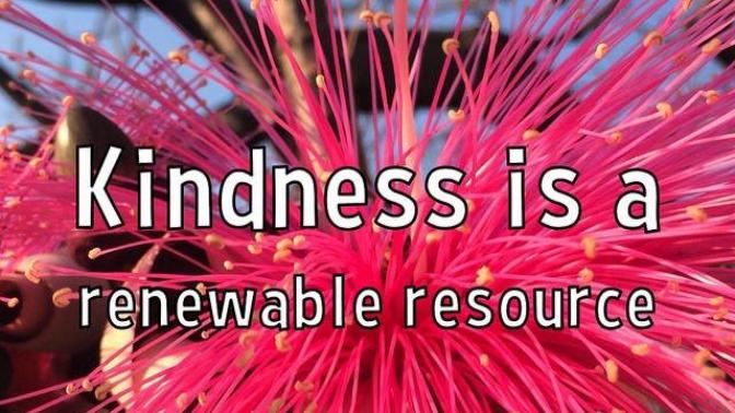 The Magic of HUMILITY and KINDNESS