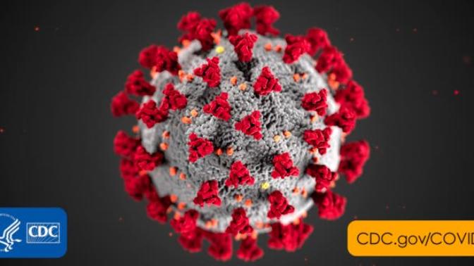Some latest and bet most of you never seen compilation of information for Corona virus...