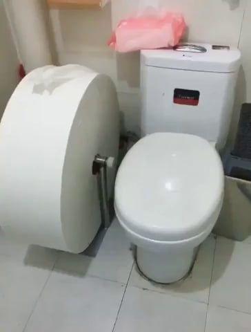 "Mystery Solved" The real reasons people are hoarding all the toilet paper.