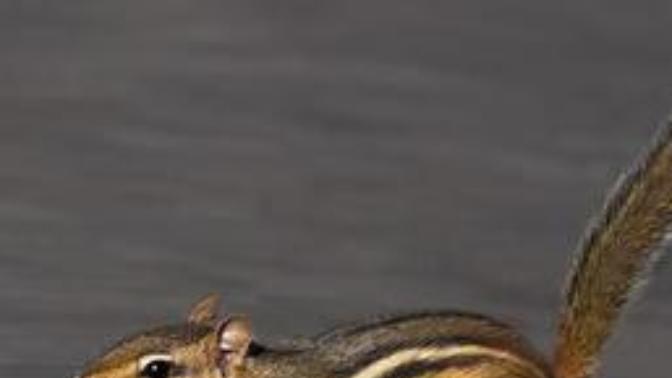 How I got into track.