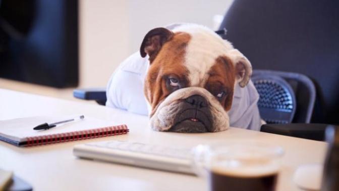 Boredom is death: Tricks to make it through lockdown