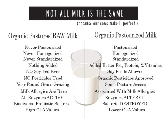 comparison of raw versus pasteurized cow milk about the process(ing)