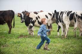 running with the cows 🐄🐄